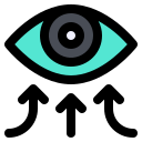 ojos icon