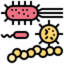 les bactéries 