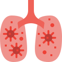 Lungs 