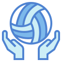 vóleibol icon