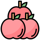 manzana icon