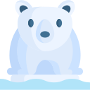 oso polar 