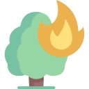 arbre en feu 
