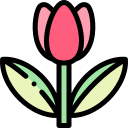 tulipán icon