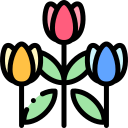 tulipanes icon