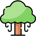 Árbol icon