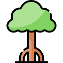 Árbol