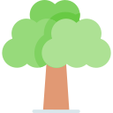 Árbol icon