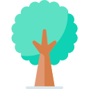 Árbol icon