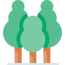 Árbol icon