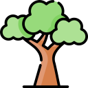 Árbol icon