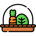 vegetales icon