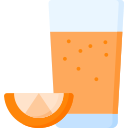 vitamina c icon