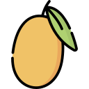 mango icon