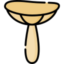 seta icon