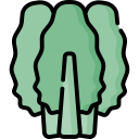 acelga icon