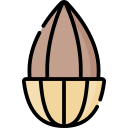 almendra icon