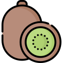 kiwi icon