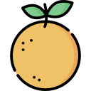 naranja icon