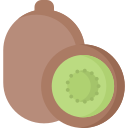 kiwi icon