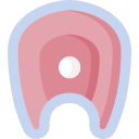 salmón icon