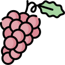 uvas icon