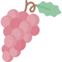 uvas icon