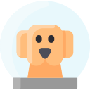 perro icon