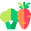 vegetales icon