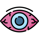 ojo icon