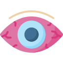 ojo icon