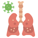 sistema respiratorio