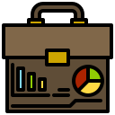 portafolio icon