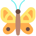 mariposa