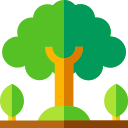 Árbol icon