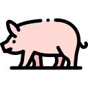 cerdo