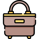 bolso icon