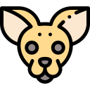 chihuahua icon