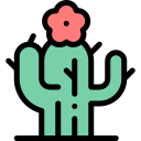 cactus icon