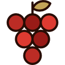 vitaminas icon