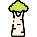 baobab icon