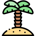 palmera icon