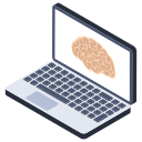 cerebro humano icon