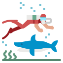 submarinismo icon