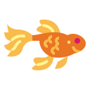 pez de colores 
