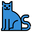 gato icon