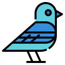 pájaro icon