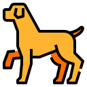 perro icon