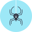 araña icon