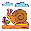 caracol icon